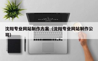 瓦房店沈阳专业网站制作方案（沈阳专业网站制作公司）